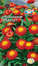 Семена Гелихризум Скарлет ярко-красный 0,1 г ДУ СеДеК