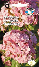 Семена Гвоздика Надежда турецкая лосос-розовая цв/п 0,5 г СеДеК