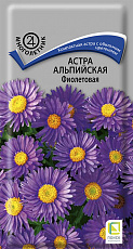 Семена Астра альпийская Фиолетовая цв/п 0,04 г Поиск
