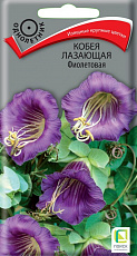 Семена Кобея лазающая Фиолетовая цв/п 5 шт Поиск