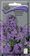 Семена Вечерница Матроны малиновая цв/п 0,3 г Поиск