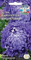 Семена Астра Вайолеттер фиолетовая СеДеК