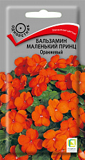 Семена Бальзамин Маленький Принц оранжевый цв/п 0,02 г Поиск