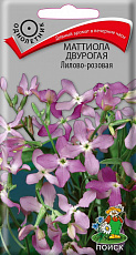 Семена Маттиола двурогая лилово-розовая 0,3 г ОИ Поиск