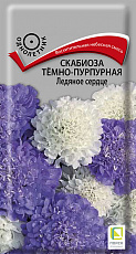 Семена Скабиоза Ледяное Сердце темно-пурпур цв/п 10 шт Поиск